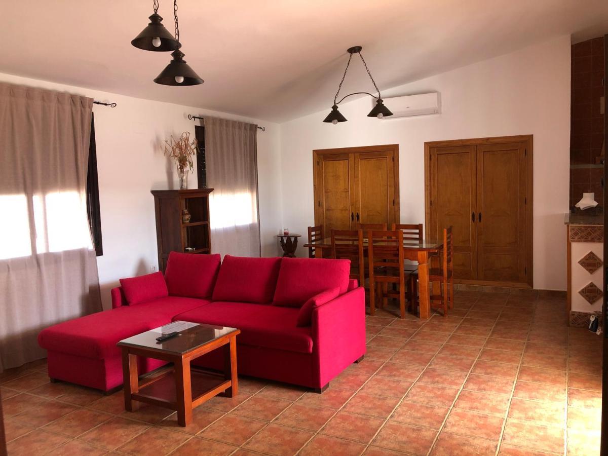 Chalet Ventura Conil 加的斯 外观 照片